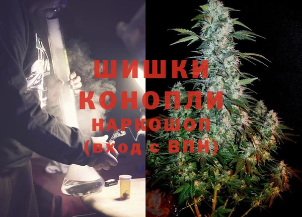 PSILOCYBIN Абдулино