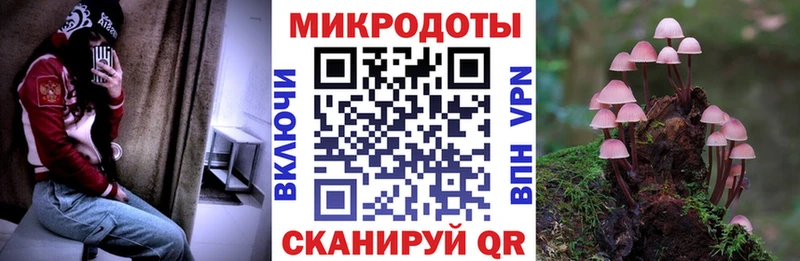 Галлюциногенные грибы мицелий  Ессентукская 