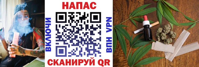 МАРИХУАНА семена  Ессентукская 
